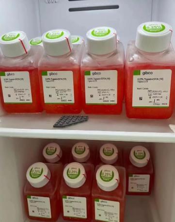 為什么要用液體培養(yǎng)基擴(kuò)大細(xì)胞？常見(jiàn)的1640和DMEM有什么不同？