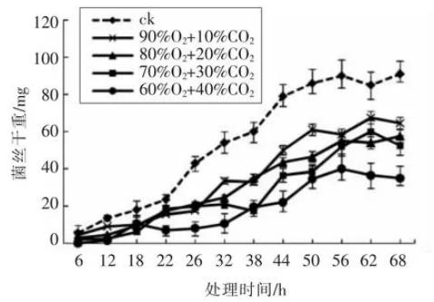 O2/CO2主動自發(fā)氣調(diào)對枝孢菌菌落形態(tài)、致病能力、生長曲線的影響（二）