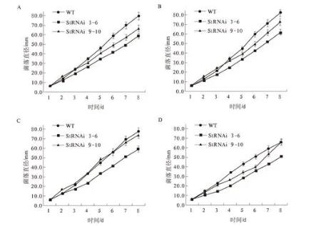 不同碳源對(duì)StSte12基因調(diào)控玉米大斑病菌菌絲生長(zhǎng)速度的影響（一）