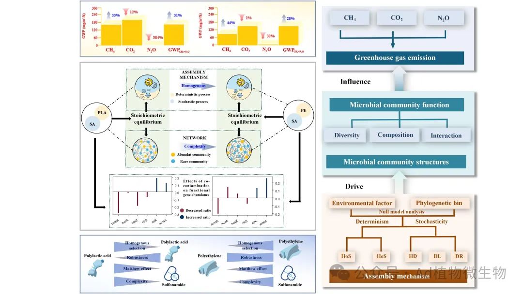 微生物群落在應對復合污染時的動態(tài)演替和功能適應性