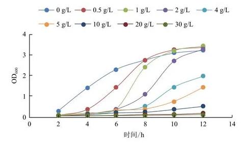 高密度發(fā)酵的過(guò)程中乙酸抑制重組大腸桿菌生長(zhǎng)及外源基因的表達(dá)——摘要