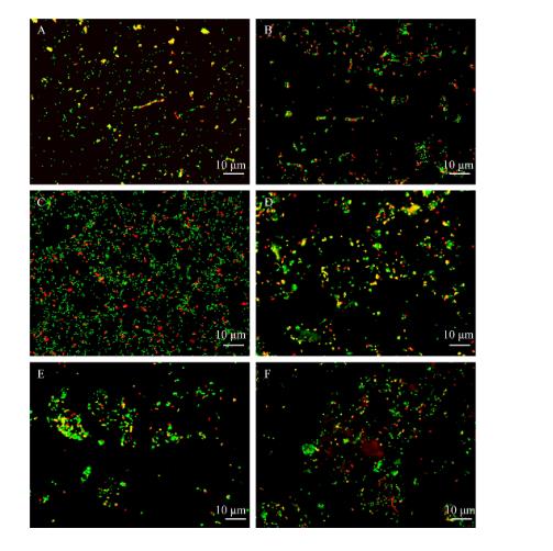 飼喂塑料不同時(shí)間段昆蟲(chóng)腸道微生物菌群的組成及動(dòng)態(tài)（二）