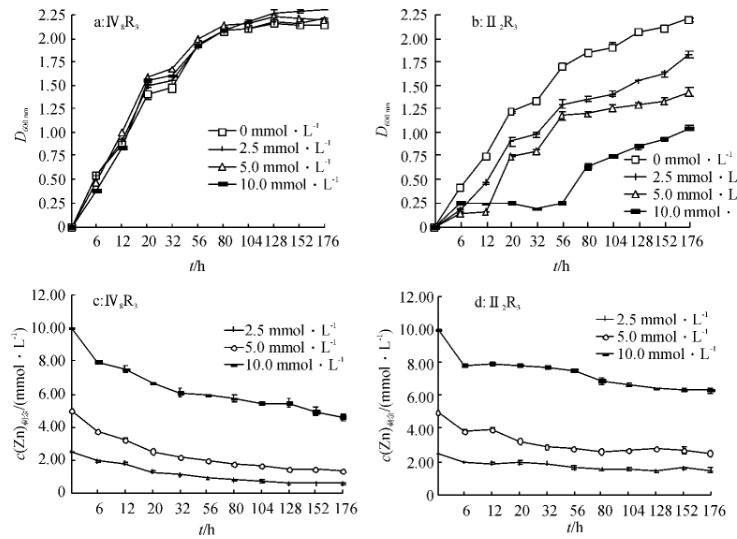 不同鋅濃度下菌株Ⅳ8R3、Ⅱ2R3的生長(zhǎng)曲線(xiàn)及玉米生長(zhǎng)和鋅積累的影響（一）