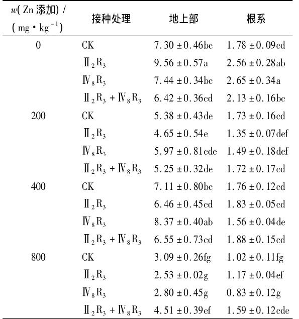 不同鋅濃度下菌株Ⅳ8R3、Ⅱ2R3的生長(zhǎng)曲線(xiàn)及玉米生長(zhǎng)和鋅積累的影響（二）