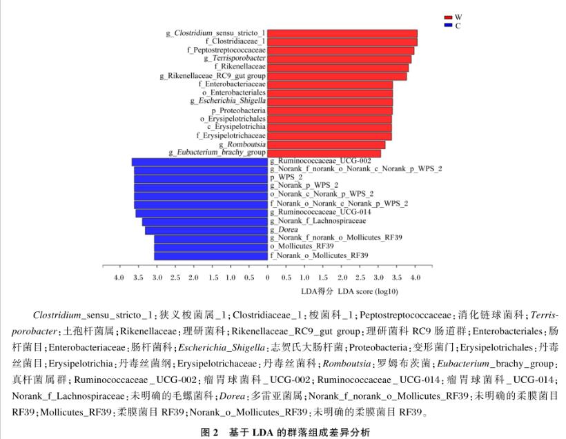類(lèi)腸膜魏斯氏菌對(duì)豬生長(zhǎng)性能、糞菌和代謝產(chǎn)物的影響——結(jié)果與分析