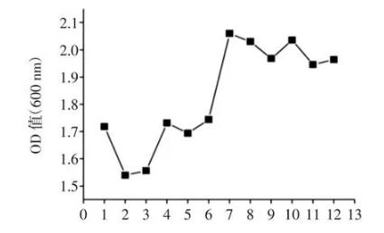 葡萄糖、乳酸鈉對(duì)丙酸桿菌生長(zhǎng)曲線的影響（二）