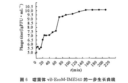 雞大腸埃希氏菌裂解性噬菌體一步生長曲線、生物學(xué)特征及全基因組測序（三）