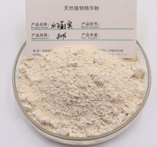 水飛薊賓聯(lián)合臨床常用抗菌素對(duì)感染細(xì)菌的體外抑制作用