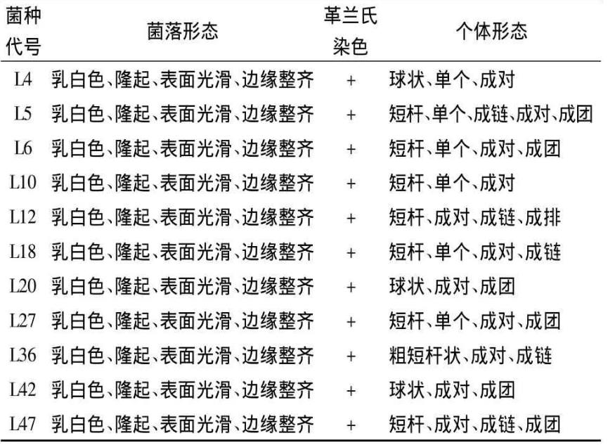 臭鱖魚中優(yōu)良乳酸菌的分離篩選、生長(zhǎng)曲線及耐溫性試驗(yàn)（一）