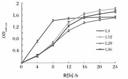 臭鱖魚中優(yōu)良乳酸菌的分離篩選、生長(zhǎng)曲線及耐溫性試驗(yàn)（二）
