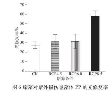 測(cè)定代表性排放路徑等級(jí)下噬藻體生長(zhǎng)曲線、感染力指標(biāo)——討論、結(jié)論