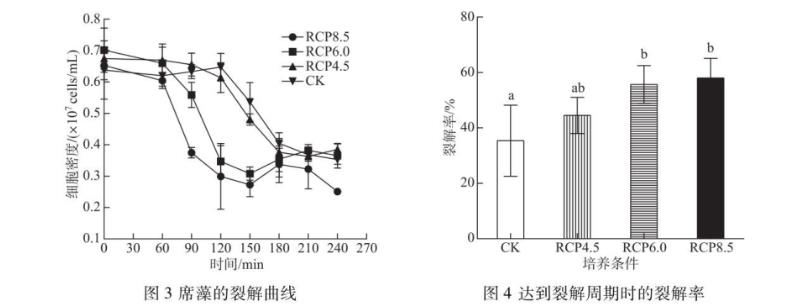 測(cè)定代表性排放路徑等級(jí)下噬藻體生長(zhǎng)曲線、感染力指標(biāo)——材料和方法
