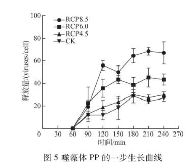 測(cè)定代表性排放路徑等級(jí)下噬藻體生長(zhǎng)曲線、感染力指標(biāo)——結(jié)果與分析