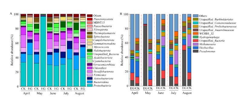 寧夏引黃灌區(qū)稻蟹共作(EG)土壤理化指標和微生物群落結(jié)構(gòu)測定（三）