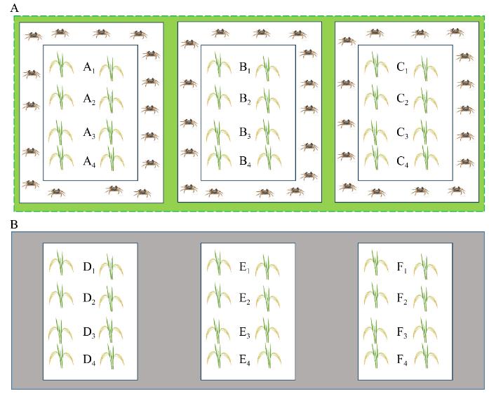 寧夏引黃灌區(qū)稻蟹共作(EG)土壤理化指標和微生物群落結(jié)構(gòu)測定（一）