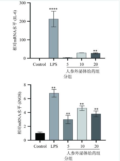 人參外泌體改變巨噬細胞極化狀態(tài)，抑制非小細胞肺癌細胞的生長的分子機制（一）