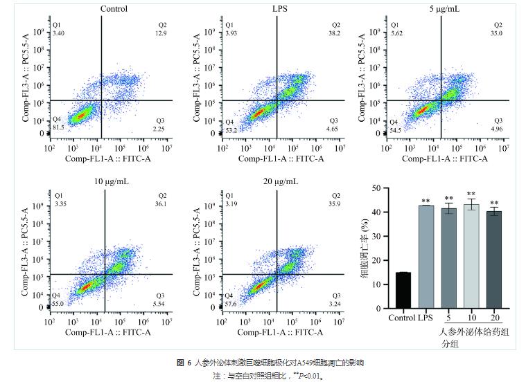 人參外泌體改變巨噬細胞極化狀態(tài)，抑制非小細胞肺癌細胞的生長的分子機制（四）