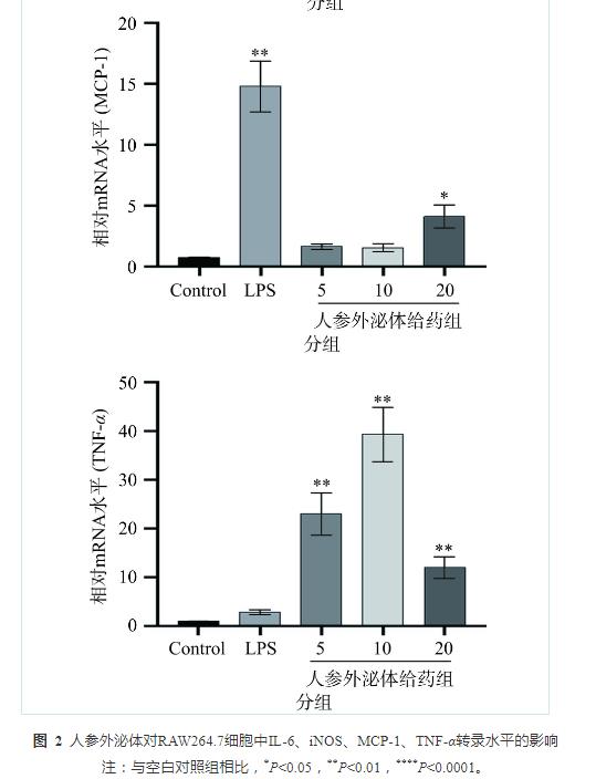 人參外泌體改變巨噬細胞極化狀態(tài)，抑制非小細胞肺癌細胞的生長的分子機制（三）