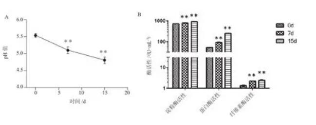 枯草芽孢桿菌LBD-1形態(tài)特征、生長(zhǎng)曲線、抗逆性及發(fā)酵后飼料特性（三）