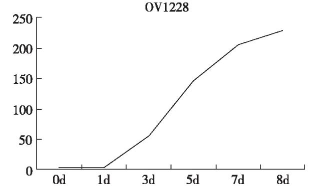 人卵巢癌腫瘤細(xì)胞株OV1228生長(zhǎng)曲線測(cè)定及體外建系過程