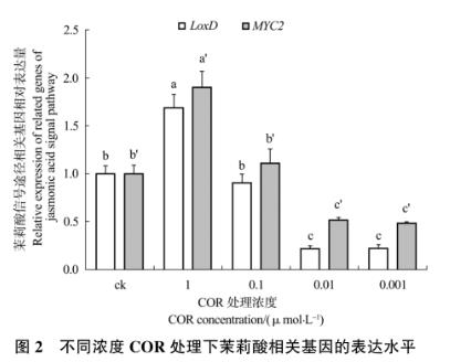 不同濃度冠菌素對番茄防御基因表達、胼胝質沉積及野生型致病菌生長的影響（一）
