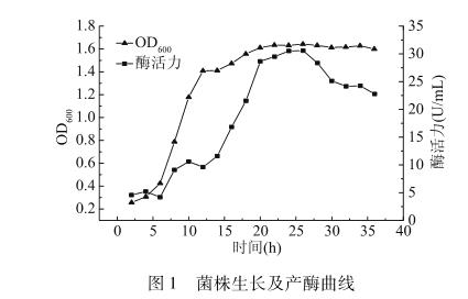瓊膠酶活性不動桿菌體生長、產(chǎn)酶曲線、酶解反應(yīng)研究（一）