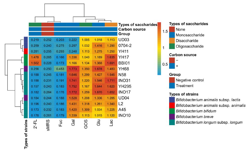 2'-巖藻糖基乳糖作為益生元對兩歧雙歧桿菌的益生菌的影響（上）