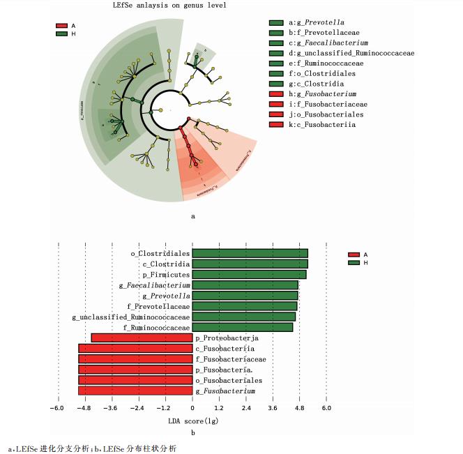 安靜型犬與活潑型犬腸道微生物群落結(jié)構(gòu)差異研究（三）
