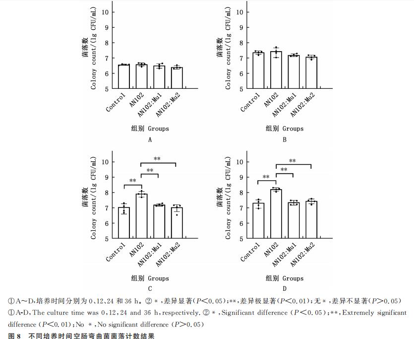 雞大腸桿菌在不同限鐵培養(yǎng)基中的生長(zhǎng)曲線及對(duì)空腸彎曲菌的作用（四）