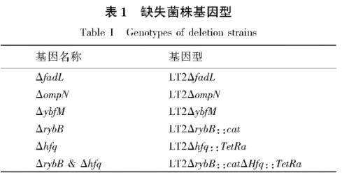 鼠傷寒沙門菌株生長曲線、毒力、在肝脾上的定殖能力（一）
