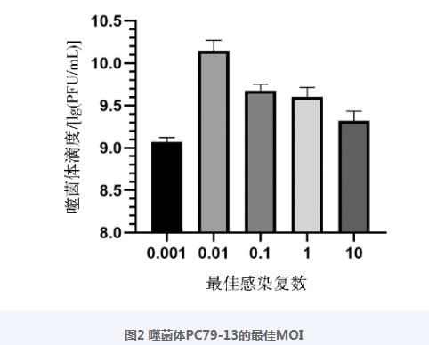 雞白痢沙門菌噬菌體PC79-13生長曲線、生物學(xué)特性、基因特征及快速檢測法（四）