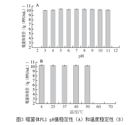 雞胸肉中耐多藥奇異變形桿菌噬菌體生長曲線、生物學特性分析（三）