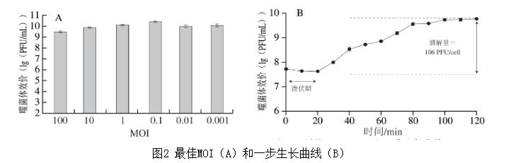 雞胸肉中耐多藥奇異變形桿菌噬菌體生長曲線、生物學特性分析（二）