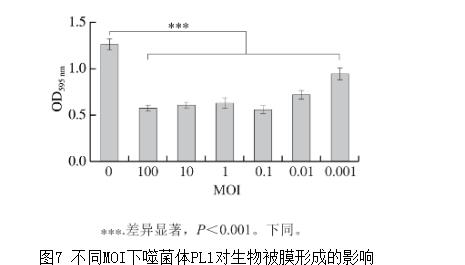 雞胸肉中耐多藥奇異變形桿菌噬菌體生長曲線、生物學特性分析（五）