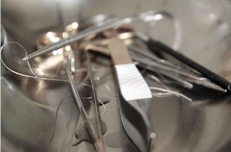 針對內(nèi)毒素及微生物，分享醫(yī)療器械質(zhì)量管理體系構(gòu)建及環(huán)節(jié)管控重點