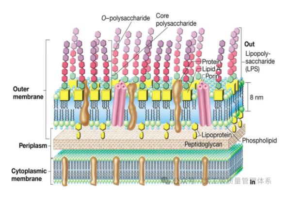 醫(yī)療器械抽檢“內(nèi)毒素限量”和“微生物限度”不合格原因、要求、污染途徑