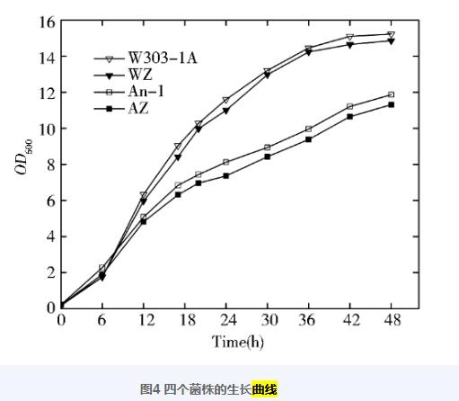 基于β-半乳糖苷酶Lac Z的UPR響應(yīng)指示菌株的構(gòu)建及生長曲線測定——討論