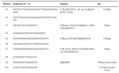 基于β-半乳糖苷酶Lac Z的UPR響應(yīng)指示菌株的構(gòu)建及生長曲線測定——材料與方法