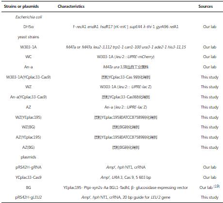 基于β-半乳糖苷酶Lac Z的UPR響應(yīng)指示菌株的構(gòu)建及生長曲線測定——摘要