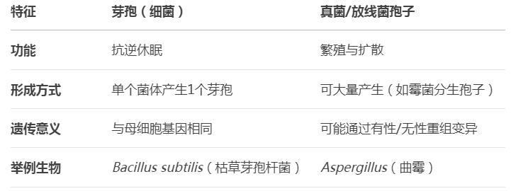 芽孢是微生物還是細菌的一種？芽孢有繁殖功能嗎