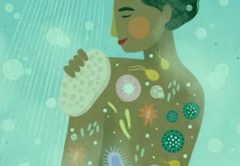 皮膚上的微生物有哪些？化妝品對皮膚微生物的影響