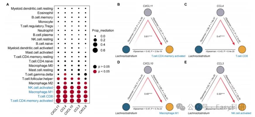 因果中介分析在微生物組與疾病關(guān)聯(lián)研究的應(yīng)用（二）