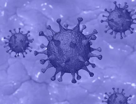 我國牛A群輪狀病毒優(yōu)勢分離株SDA2毒株培養(yǎng)條件及生長曲線繪制