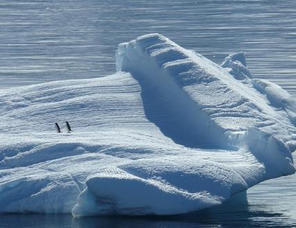 嗜冷微生物定義及最適生長溫度、最高/低生長溫度