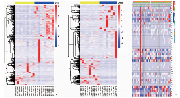 CLDN10信號通路對膀胱癌細(xì)胞生長和增殖的作用（二）