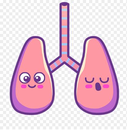 ?人類呼吸道樣本采集——鼻咽拭子、痰液、氣管微生物采樣要點