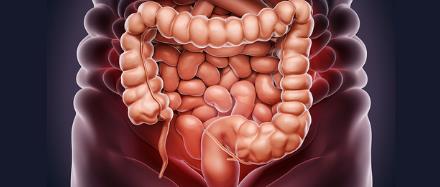 ?人類胃腸道/人類泌尿生殖道樣本采集