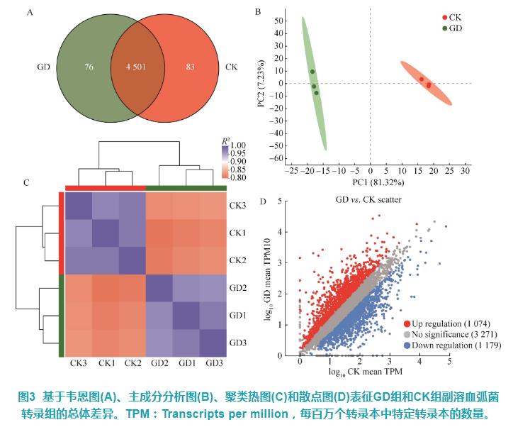 甘膽口服液對副溶血弧菌細(xì)胞結(jié)構(gòu)及體外抑菌活性影響——結(jié)果與分析
