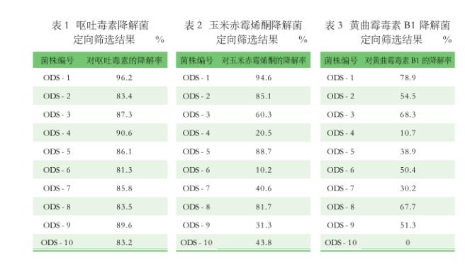 芽孢桿菌對黃曲霉毒素B1、嘔吐毒素、玉米赤霉烯酮的降解作用——結(jié)果、結(jié)論