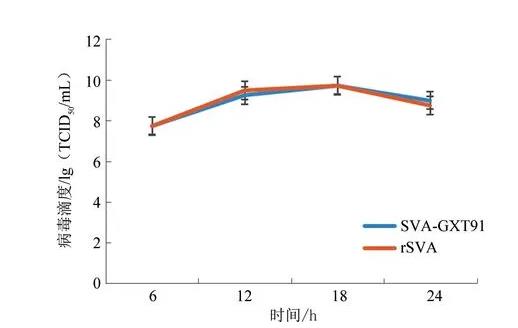 A型塞內(nèi)卡病毒全長(zhǎng)感染性克隆、致病機(jī)理及生長(zhǎng)曲線分析（三）